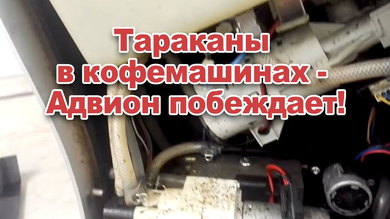 Гель Advion Cockroach vs Тараканы в кофемашине