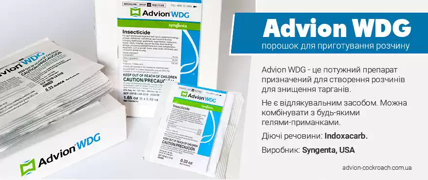 Advion WDG - засіб від тарганів, порошок для приготування розчину | advion-cockroach.com.ua