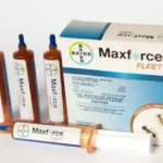 Maxforce Fleet- эффективное средство от муравьёв | advion-cockroach.com.ua Maxforce Fleet- эффективное средство от муравьёв | advion-cockroach.com.ua