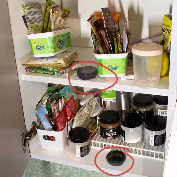Если вы купили ловушки, то на один шкафчик достаточно одной/двух ловушек