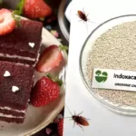 Что важнее — приманка или яд | advion-cockroach.com.ua