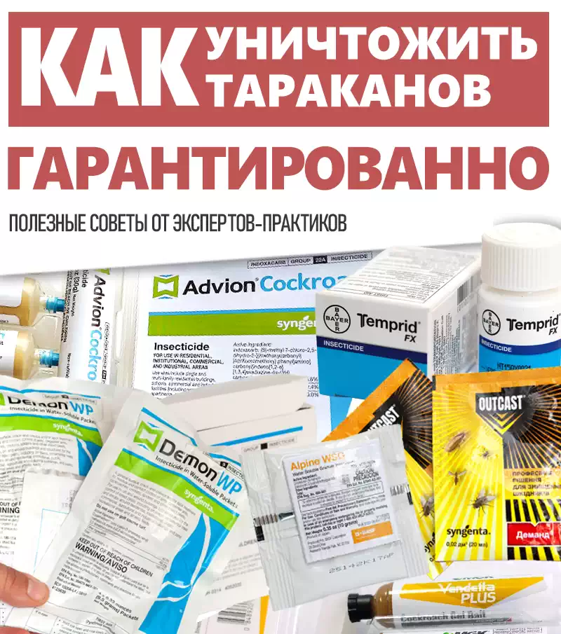 Как уничтожить тараканов гарантированно