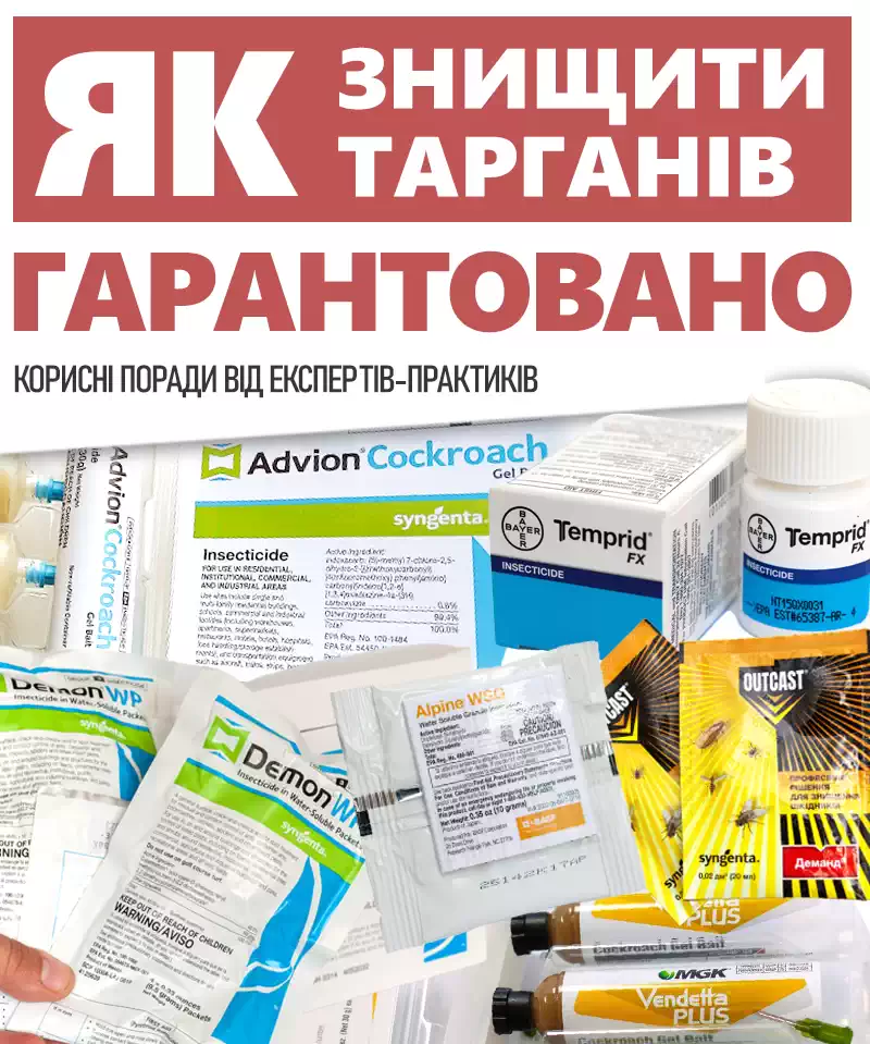 Як знищити тарганів гарантовано