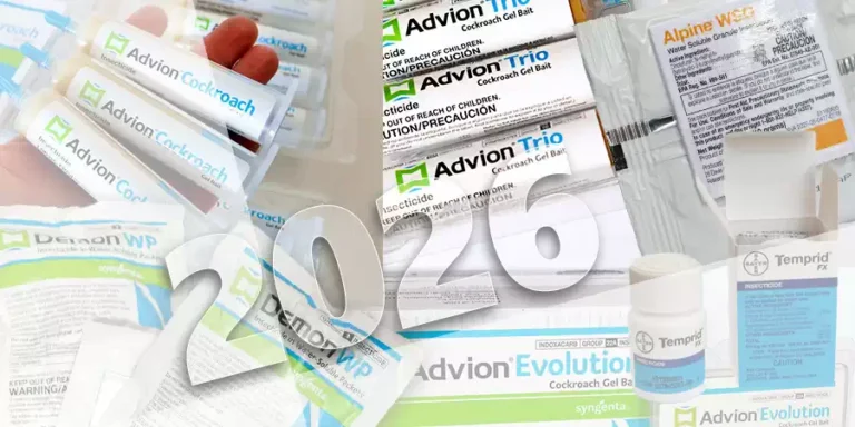 Борьба с тараканами: тренды в 2026 г.