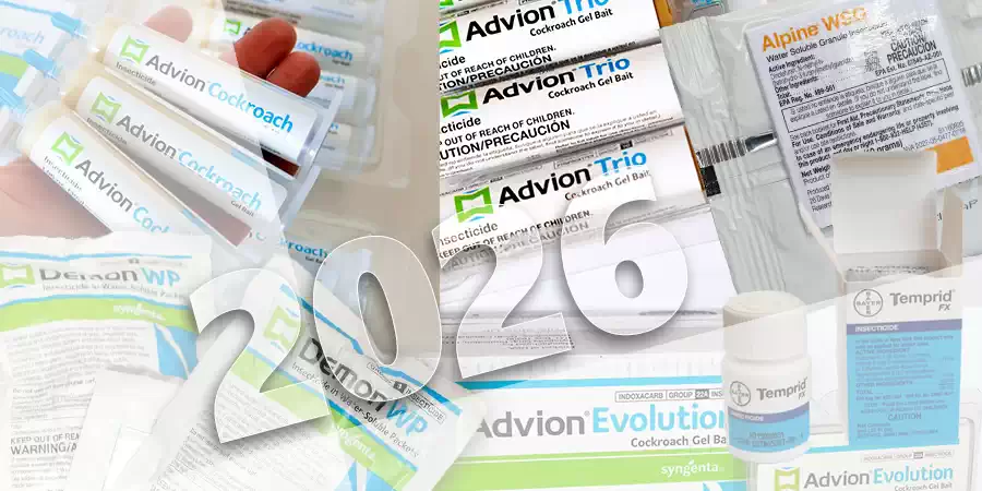 Борьба с тараканами: тренды в 2026 г.