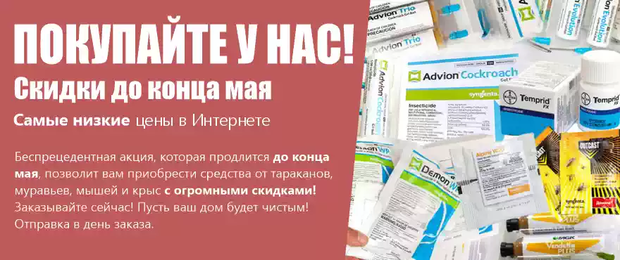 Самые низкие цены в Интернете