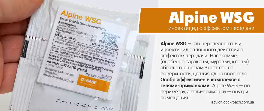 Alpine WSG - локально-зачищающий, нерепеллентный инсектицид сплошного действия с эффектом передачи